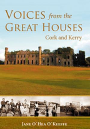 Cover of the book Voices from the Great Houses of Ireland: Life in the Big House by Fr John Callanan