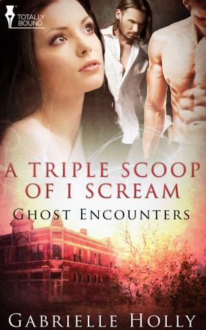 Cover of the book A Triple Scoop of I Scream by D.J. Manly