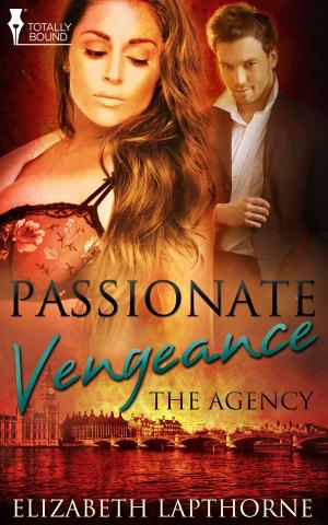 Cover of the book Passionate Vengeance by Sienna Aylen