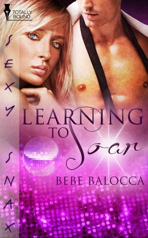 Cover of the book Learning to Soar by Anna Lee
