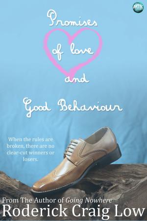 Cover of the book Promises of Love and Good Behaviour by Rachel Robinson