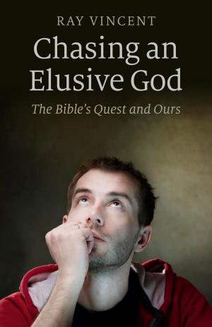 Cover of the book Chasing an Elusive God by Chris Ratter