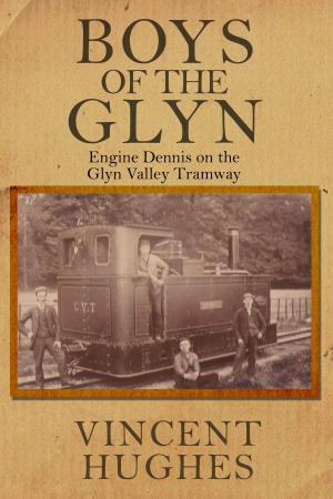 Cover of Boys Of The Glyn