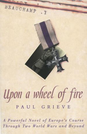 Cover of the book Upon a Wheel of Fire by M.B. Malik