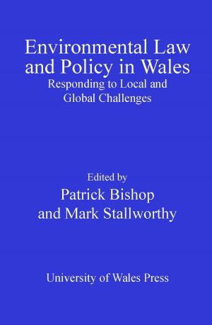 Cover of the book Environmental Law and Policy in Wales by Sara Brandellero, Lucia Villares