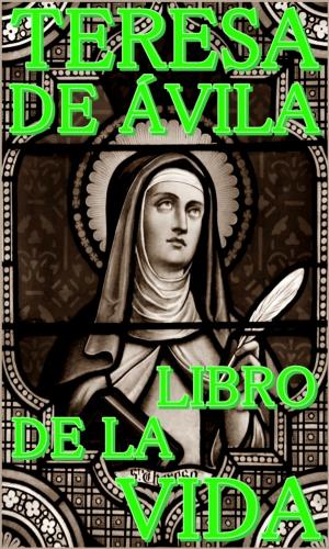 Cover of the book Libro de la vida by Aurelius Augustinus