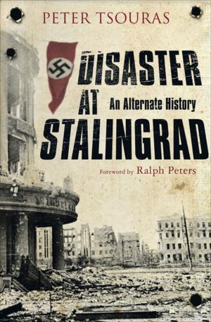 Book cover of Disaster at Stalingrad