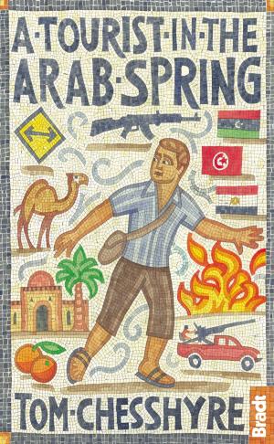 bigCover of the book A Tourist in the Arab Spring by 