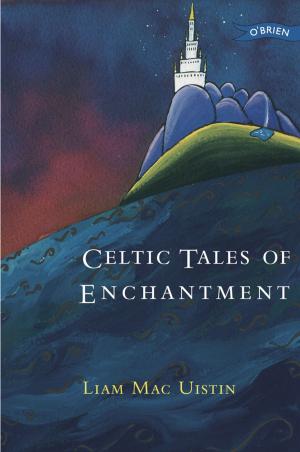 Book cover of Celtic Tales of Enchantment