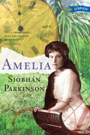 Cover of the book Amelia by Erika McGann