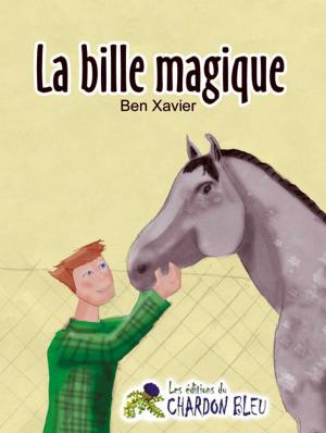 Cover of the book La bille magique by Laurent Malek, Marc Scott, Alexandre Scott
