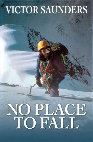 Cover of the book No Place to Fall by Gerry Galligan
