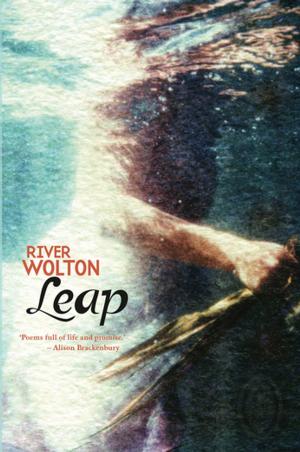 Cover of the book Leap by Nadeem Khan