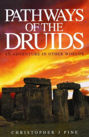 Cover of the book Pathways of the Druids by Zeb Soanes