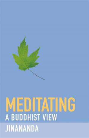 Cover of the book Meditating by Lama Shenpen Hookham