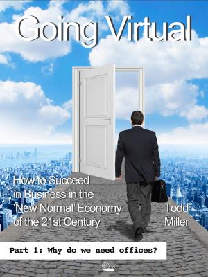 Book cover of Going Virtual