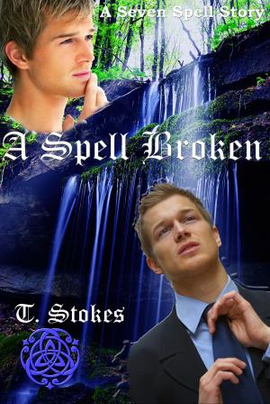 Book cover of A Spell Broken