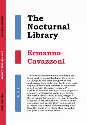 bigCover of the book The Nocturnal Library by 