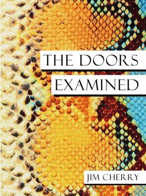 Cover of the book The Doors Examined by David Conarroe