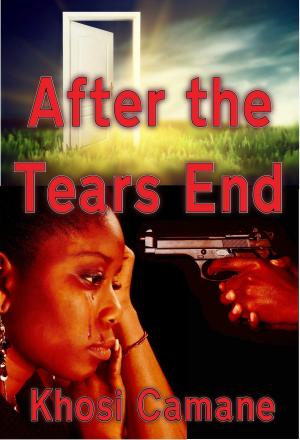 Cover of the book After The Tears End by Linzy Bruno