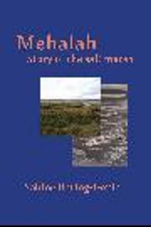 Cover of the book Mehalah by May Burnett