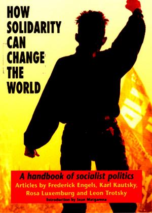Cover of the book How solidarity can change the world by Thomas Pink