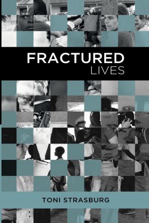 Cover of the book Fractured Lives by Kano Shoro