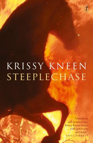 Cover of the book Steeplechase by 
