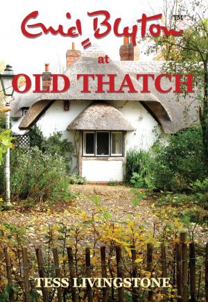 Cover of the book Enid Blyton at Old Thatch by Edwin Bond