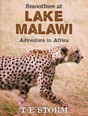 Cover of the book Smoothies at Lake Malawi by Darren Gleeson