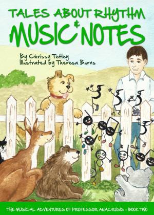 Cover of the book Tales About Rhythm & Music Notes by Terry Mayer