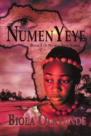 Cover of the book Numen Yeye by Jesse McMinn