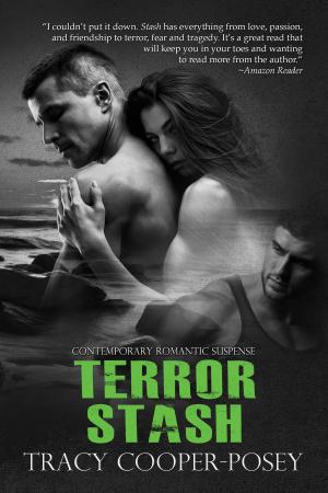 Cover of the book Terror Stash by Melissa Johnson