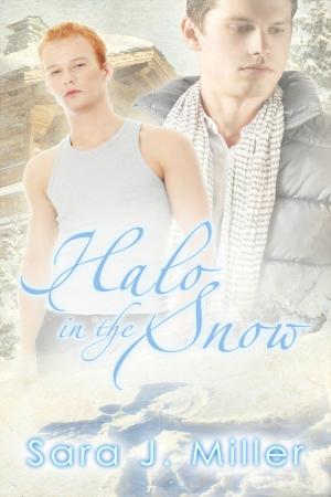 Cover of the book Halo in the Snow by Caroline Mickelson