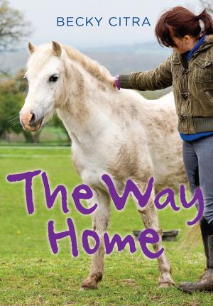 Cover of the book The Way Home by Helen Wolfe