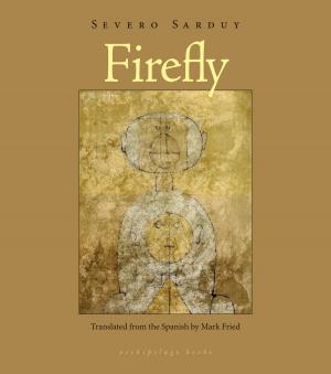 Cover of the book Firefly by Breyten Breytenbach