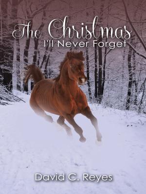 Cover of the book The Christmas I’ll Never Forget by Danny Pelfrey, Wanda Pelfrey