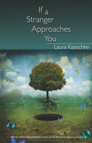 Book cover of If a Stranger Approaches You