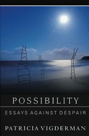 Cover of the book Possibility by Ashley Butler