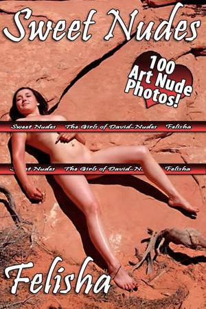 Cover of the book Felisha - Sweet Nudes by David Weisenbarger