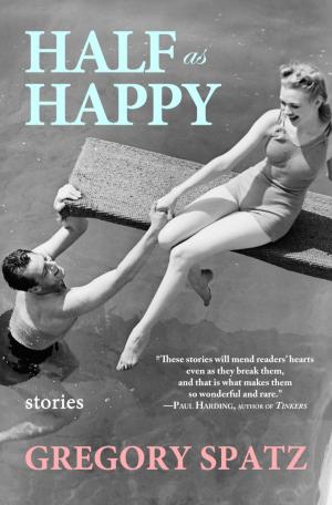 Cover of the book Half as Happy by Scott Nadelson