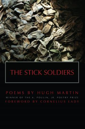 Cover of the book The Stick Soldiers by Sean Thomas Dougherty