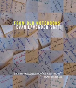 Cover of the book From Old Notebooks by Andy Plattner