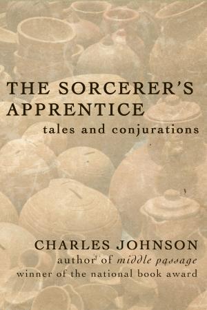 Cover of the book The Sorcerer's Apprentice by Abby Frucht