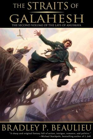 Cover of the book The Straits of Galahesh by Melissa Myers