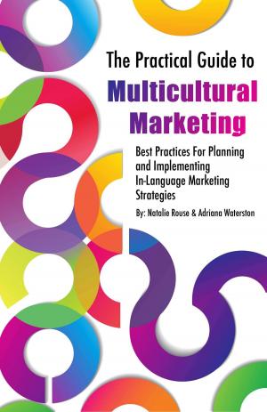 Cover of the book The Practical Guide to Multicultural Marketing by Jim Woods