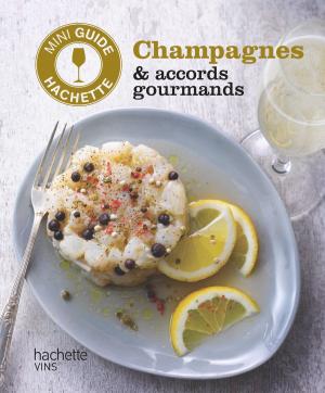Book cover of Les vins de Champagne : accords gourmands