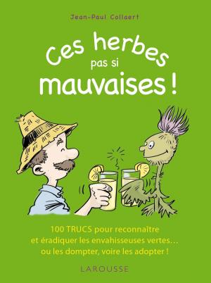 Cover of the book Ces herbes... pas si mauvaises ! by Valéry Drouet
