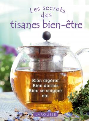 Cover of the book Les tisanes bien-être by Jean-Jacques Rousseau