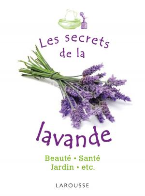 Cover of the book Les secrets de la lavande by Collectif